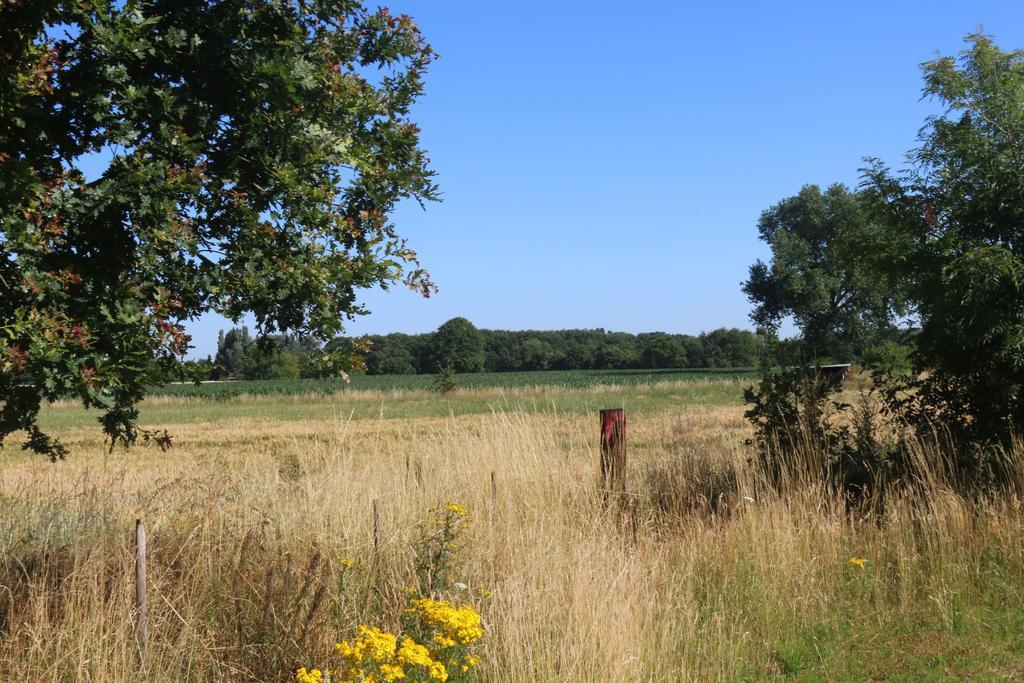 Bed & Breakfast Gastenlogies Blauwe Schaap *