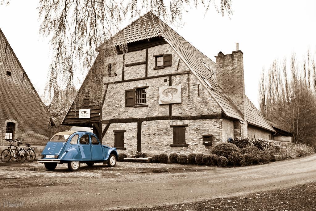 Gastenlogies Blauwe Schaap Ranst
